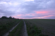 The Ridgeway track