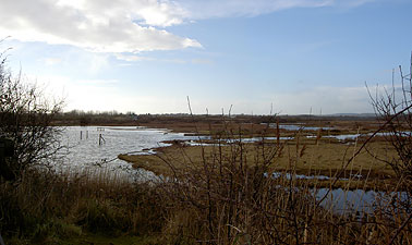 View across the marsh