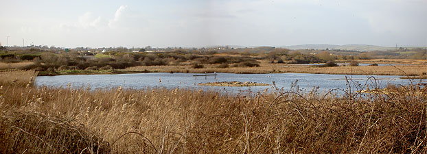 View across the marsh