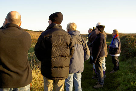 Watching Roe Deer