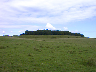 Badbury Rings