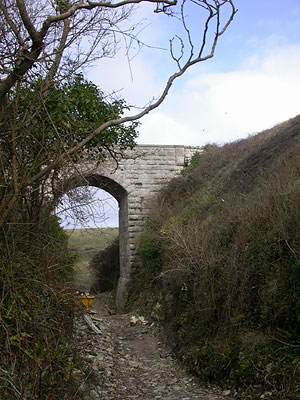 Kingbarrow Gully