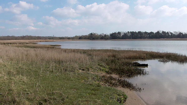 Lychett Bay