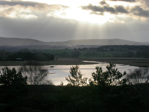 Middlebere Lake