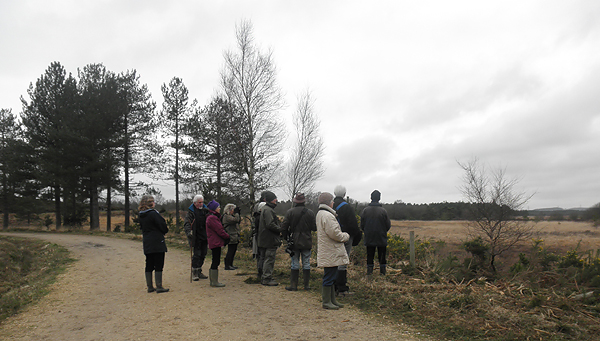  Wareham Forest