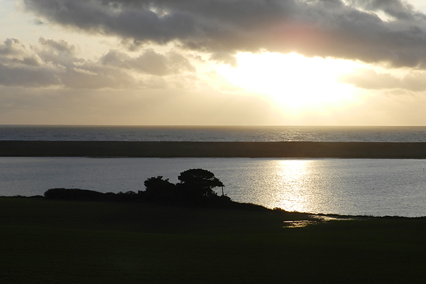 photo of this afternoon's walk at Rodden on the Jurassic Coast