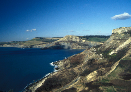 Looking west from St Aldhelm's Head